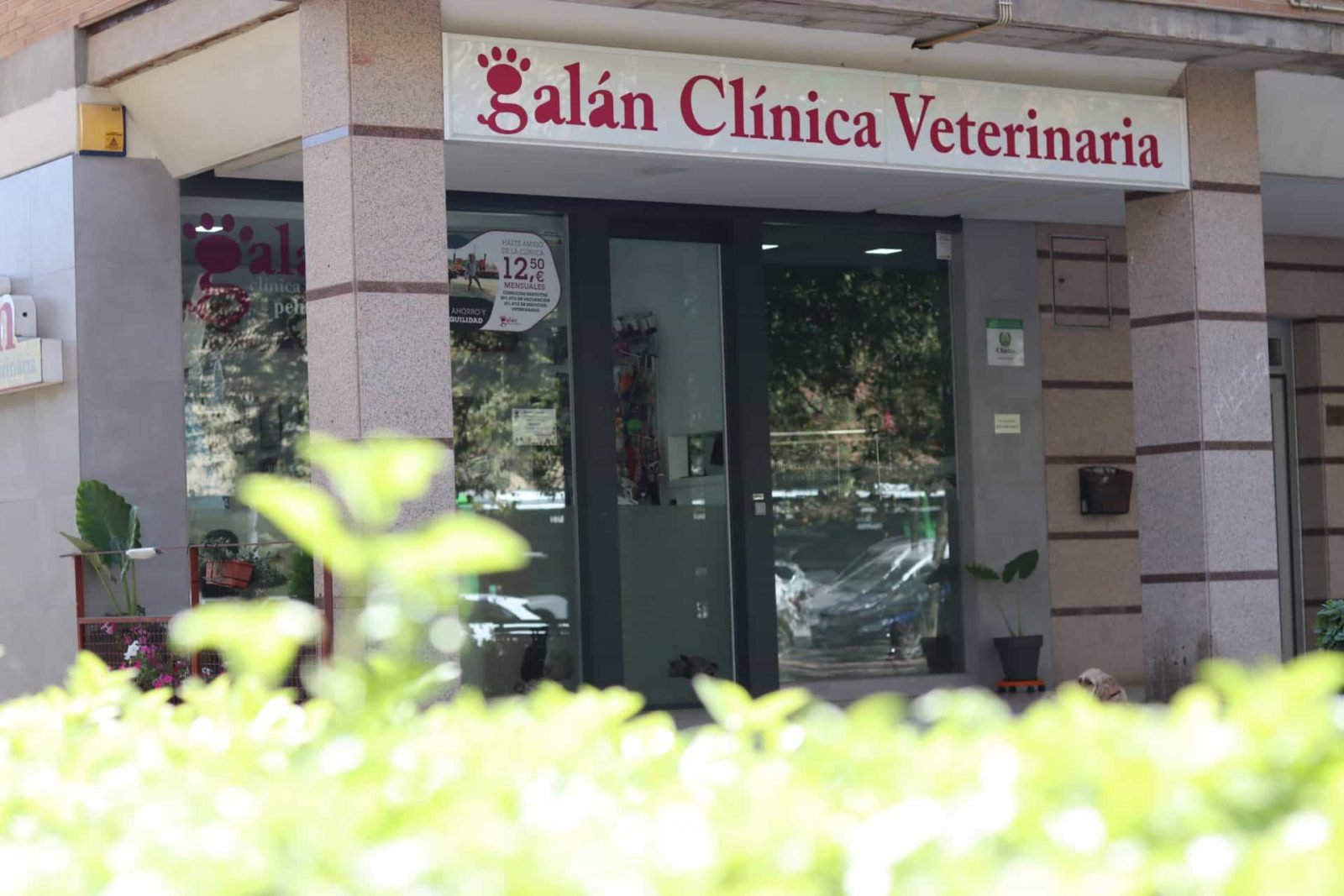 Fachada Clínica Veterinaria Galán Cáceres, centro veterinario para perros y gatos