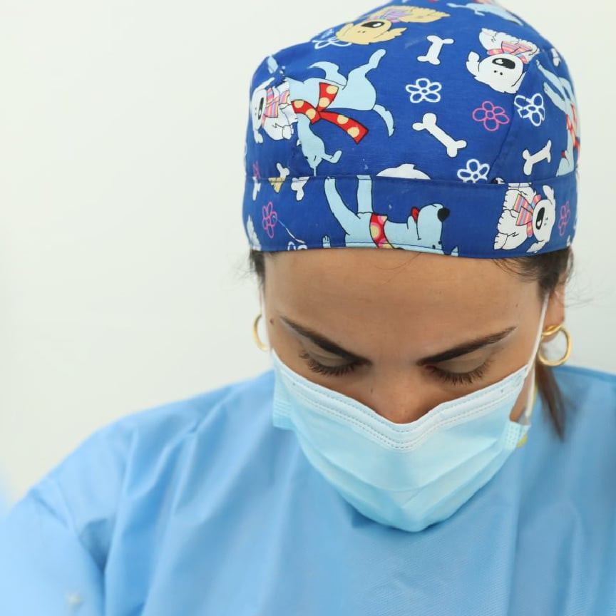 clinica-veterinaria-galan-cirugía