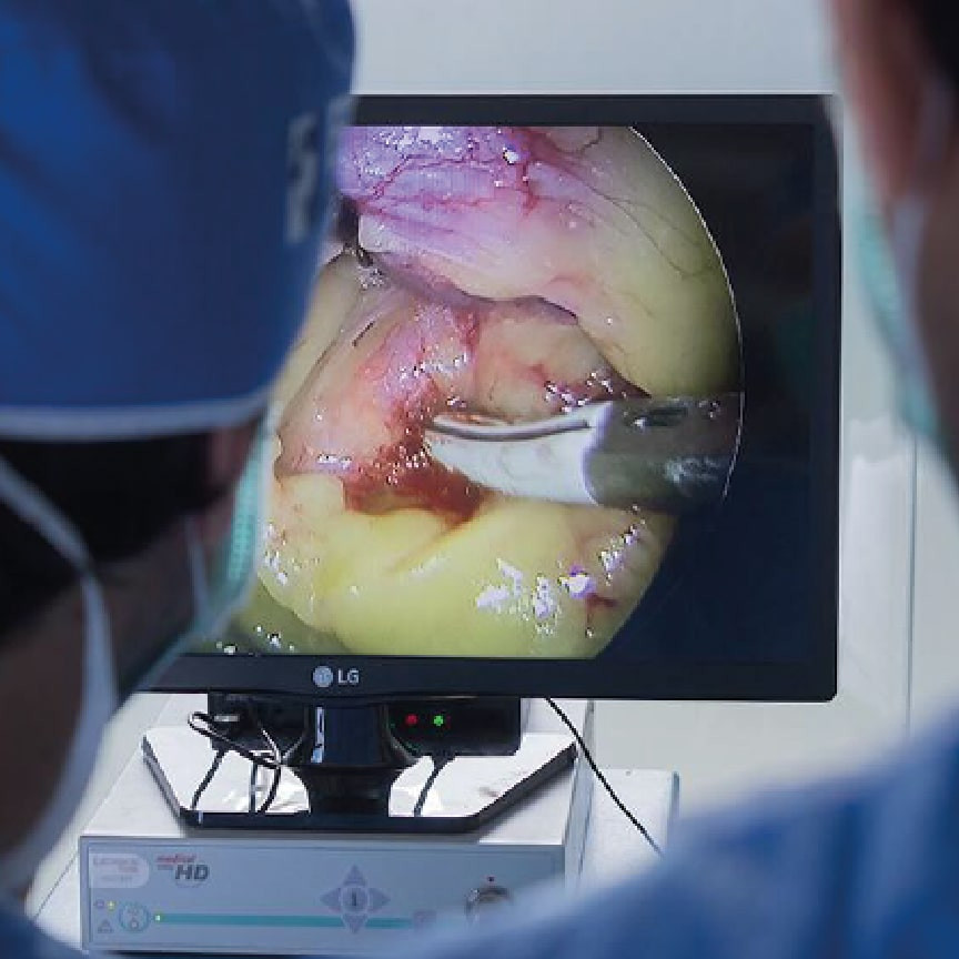 clinica-veterinaria-galan-cirugía-minima-invasion