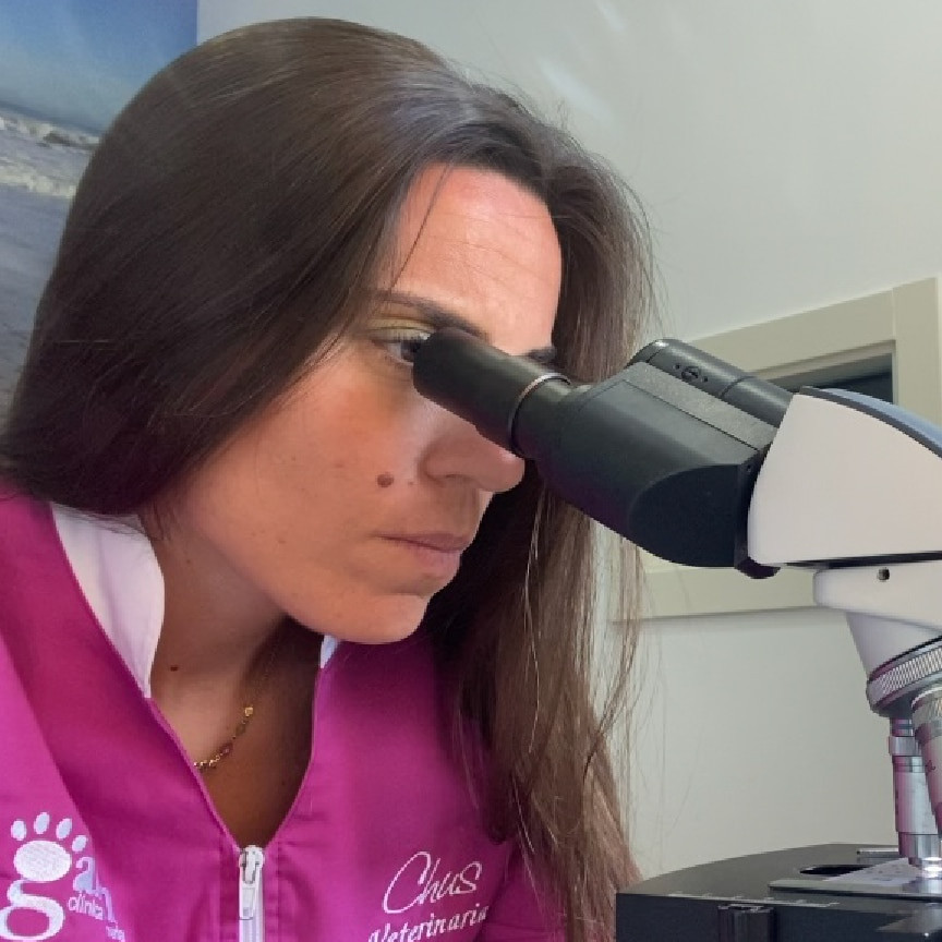 clinica-veterinaria-galan-dermatologia