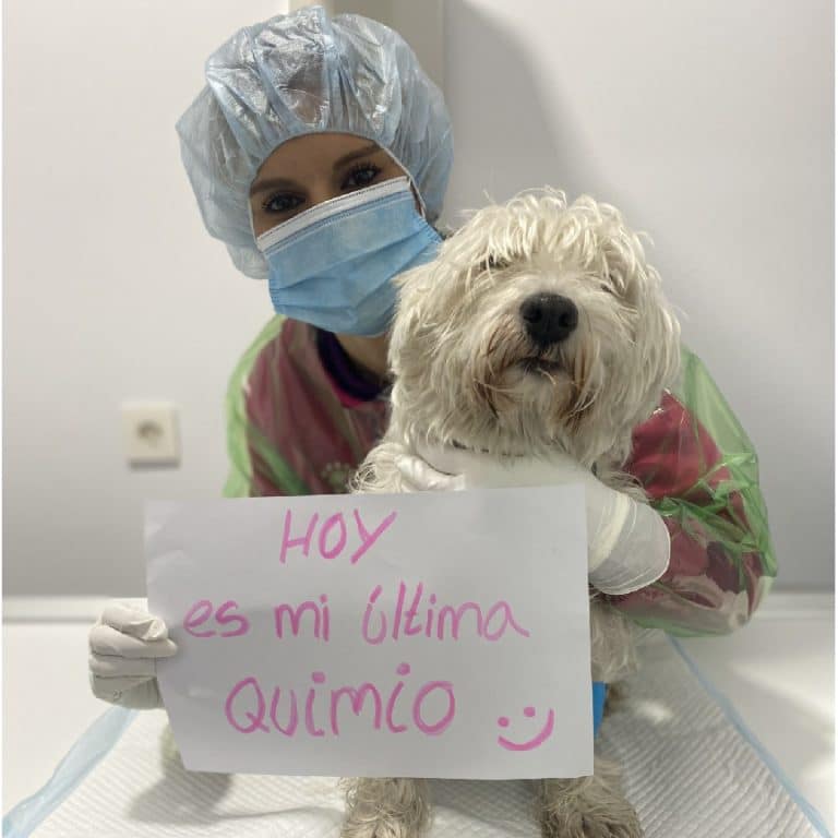 clinica-veterinaria-galan-oncologia