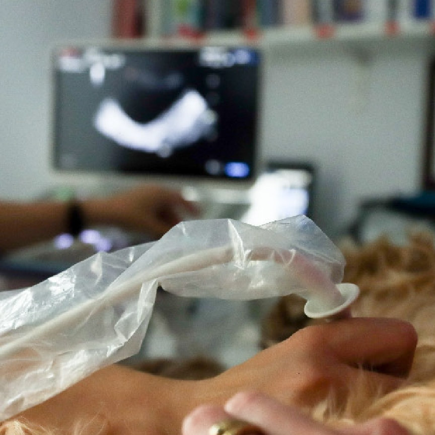 clinica-veterinaria-galan-ecografia