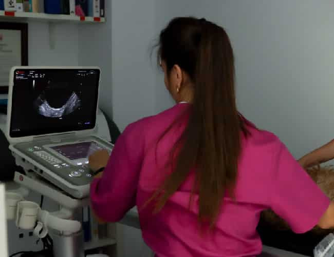 clinica-veterinaria-galan-caceres-04